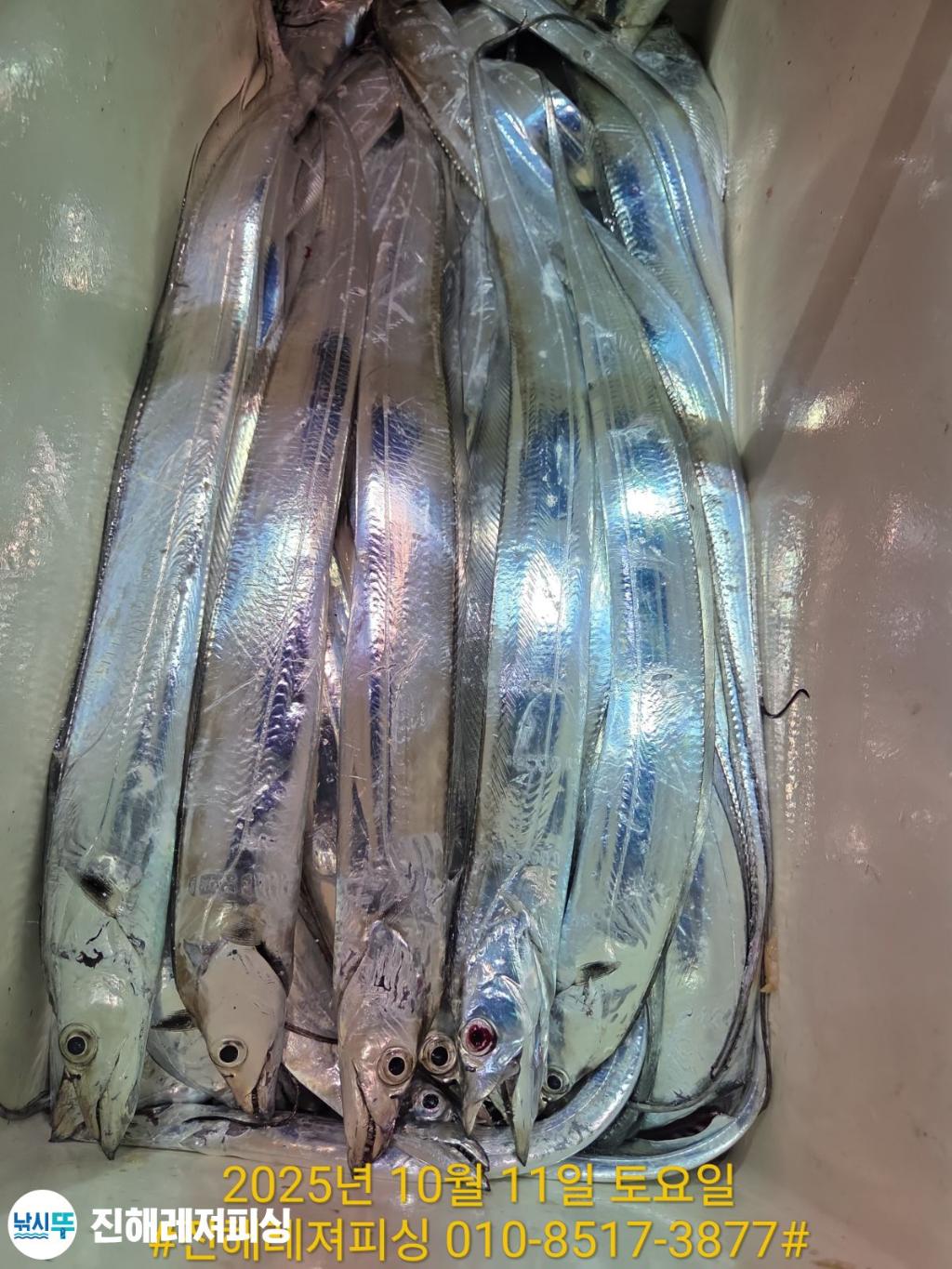 F27942262X.jpg