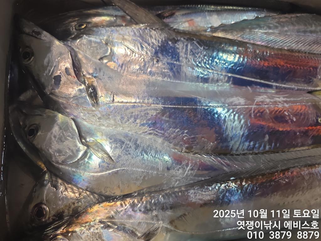 F2794280DY.jpg