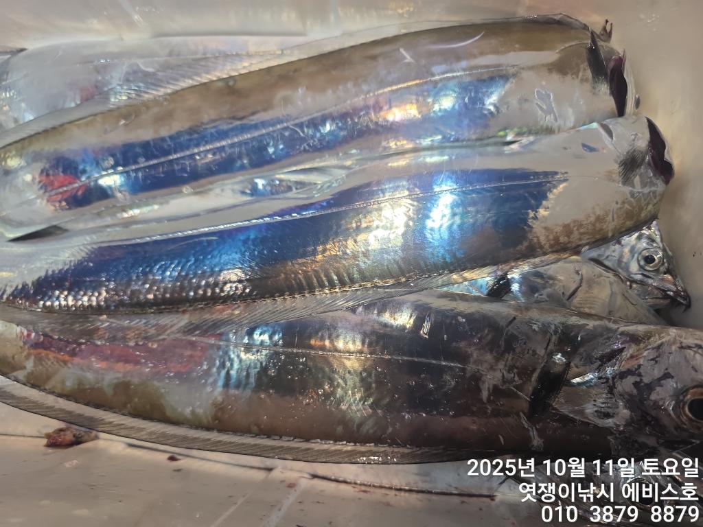 F2794287RX.jpg