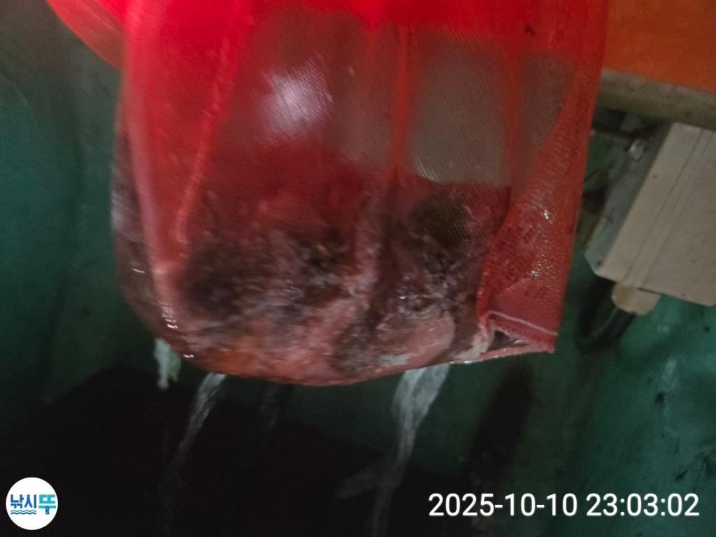 F2794323F4.jpg