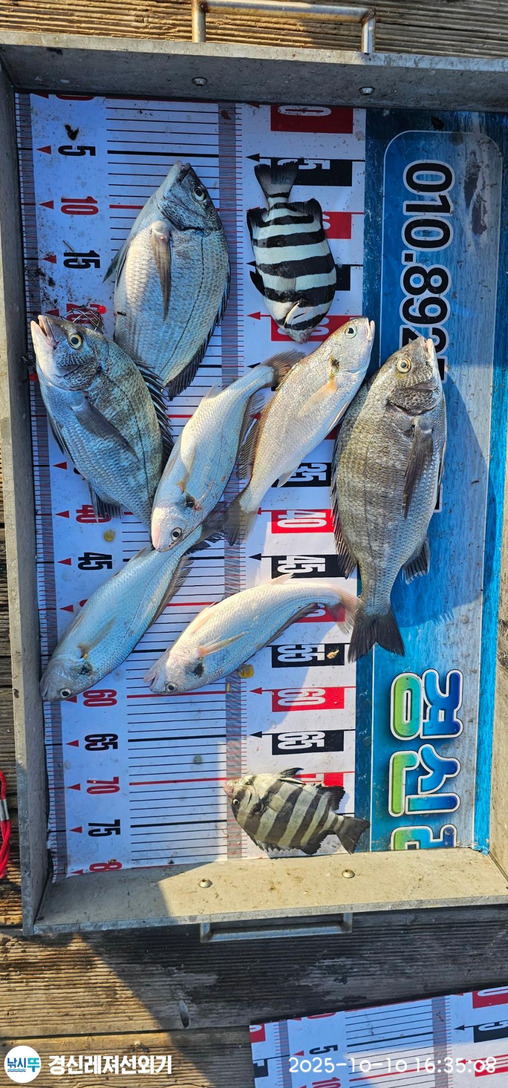 F2794650KT.jpg