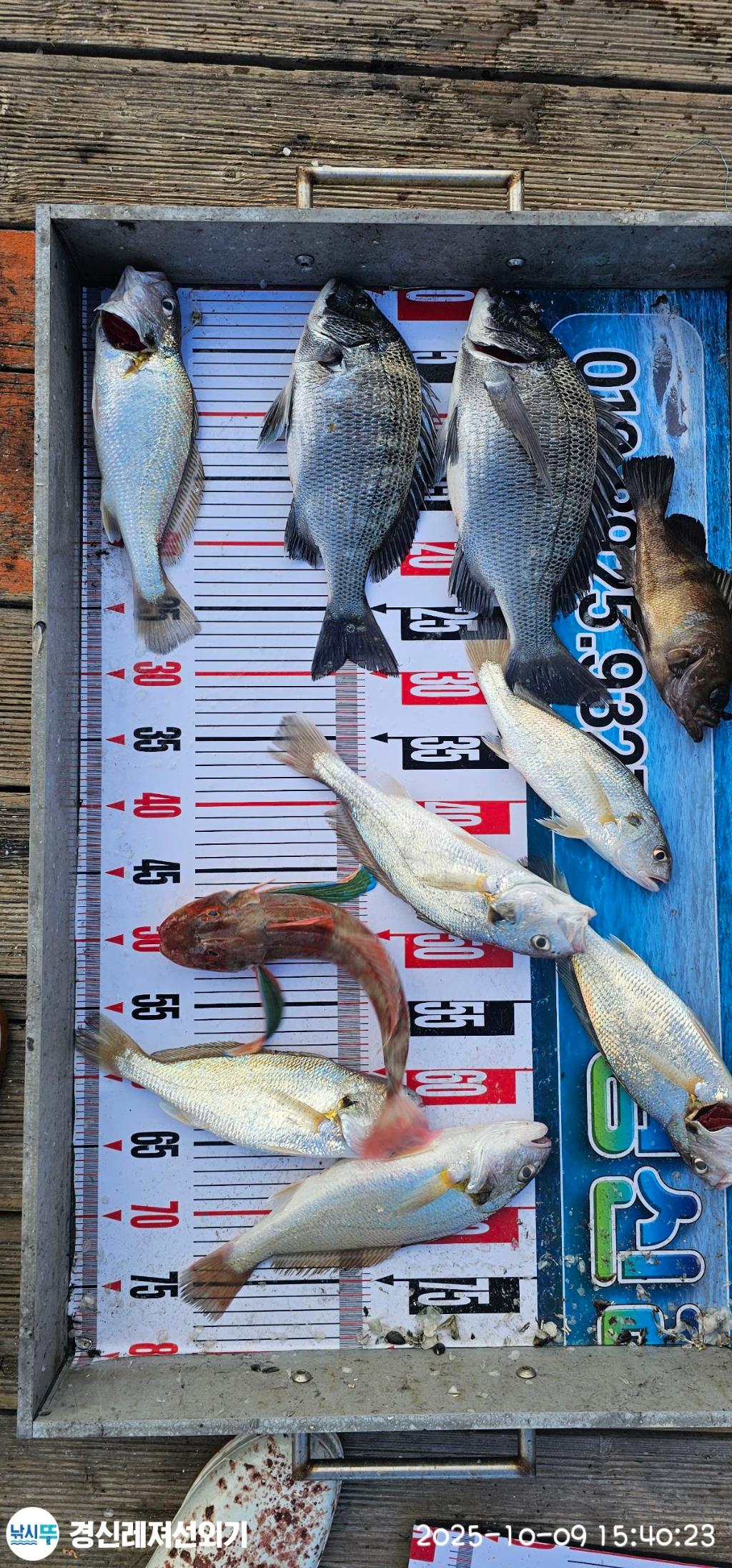 F27946594M.jpg