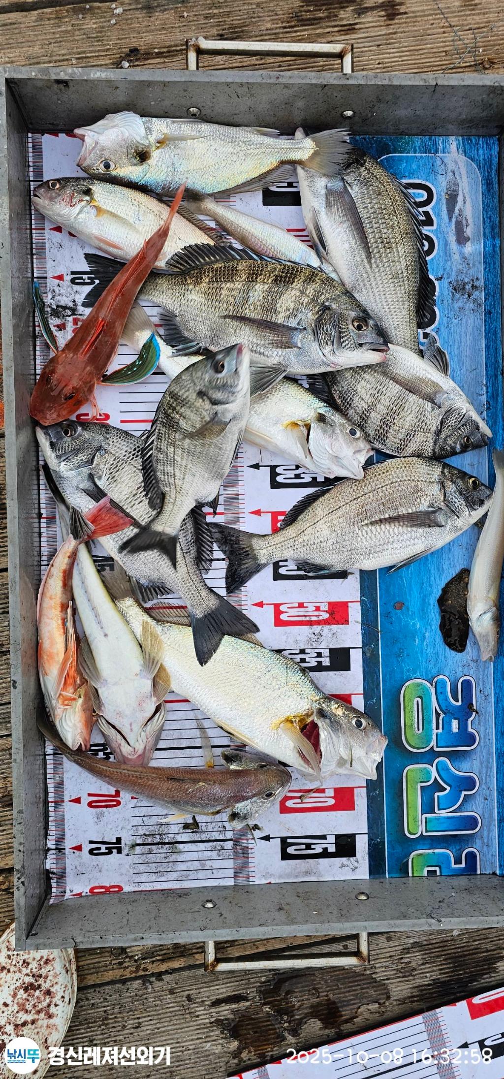 F279466651.jpg