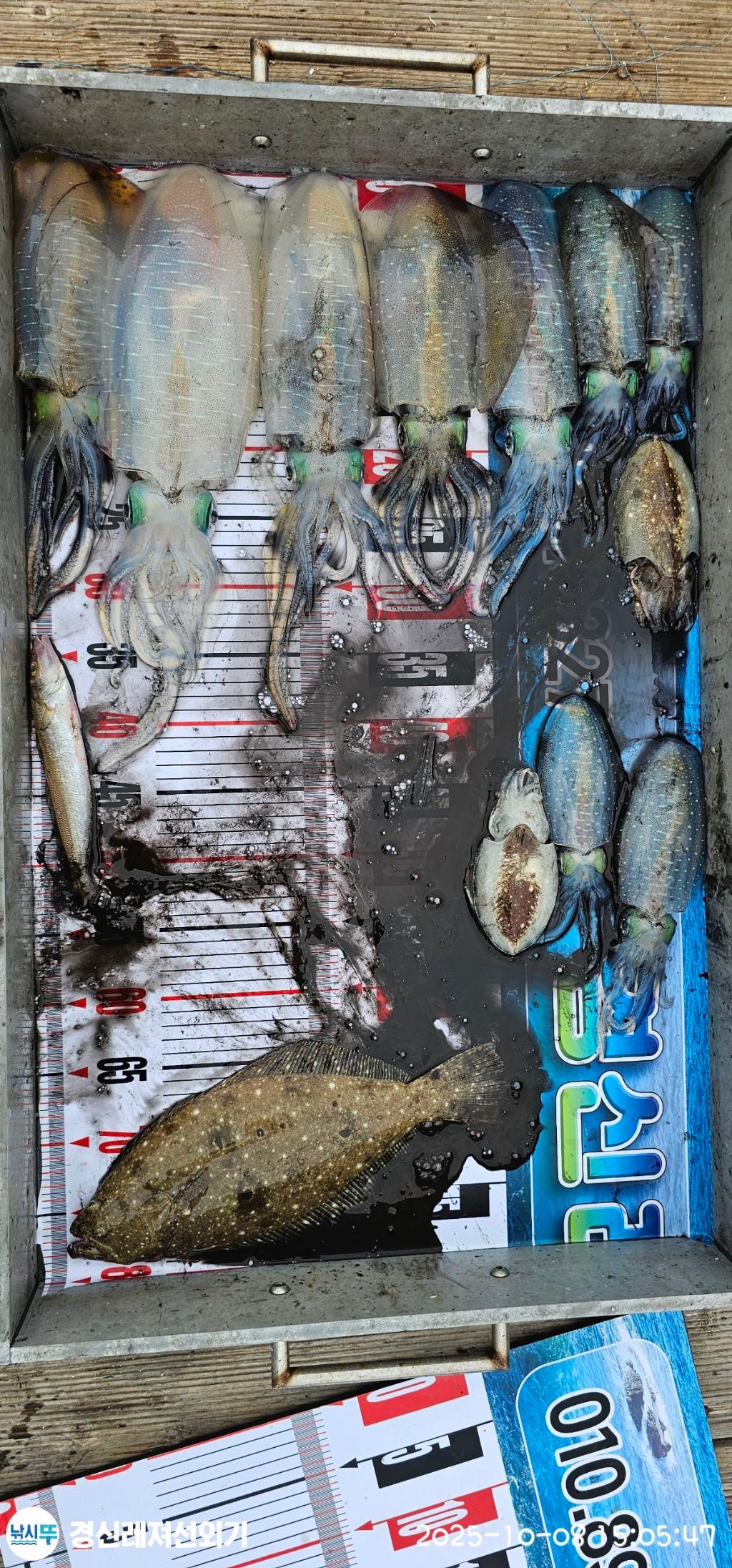 F2794671SW.jpg