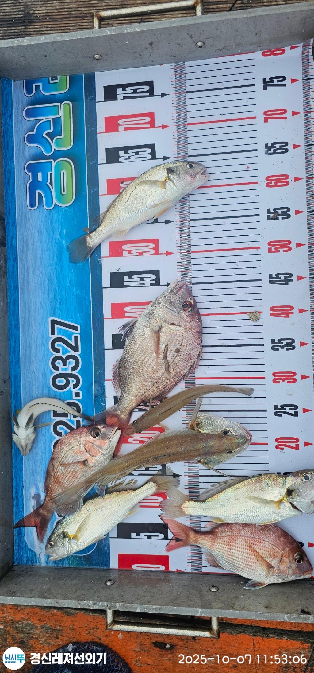 F2794683FC.jpg
