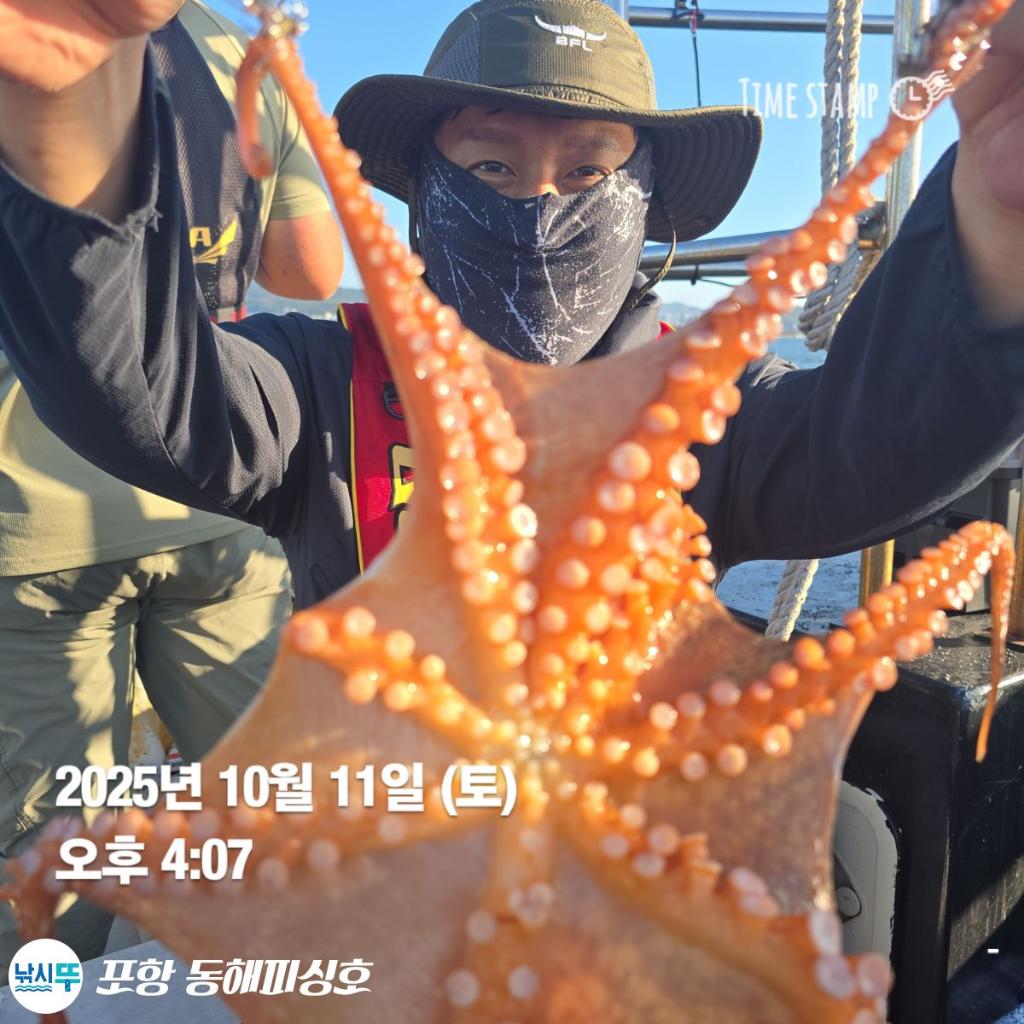 낚시뚜,돌문어,포항(운하관),포항 동해피싱호,낚시뚜15