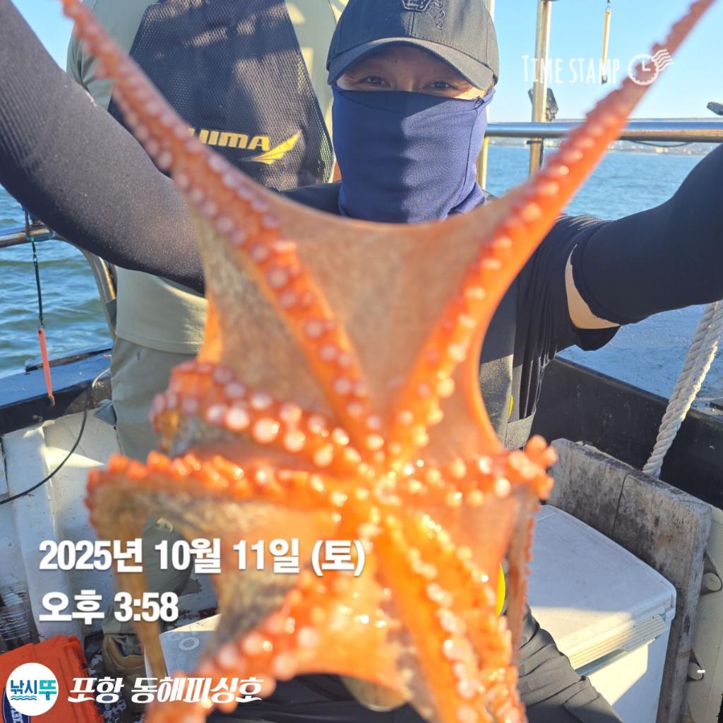 낚시뚜,돌문어,포항(운하관),포항 동해피싱호,낚시뚜14