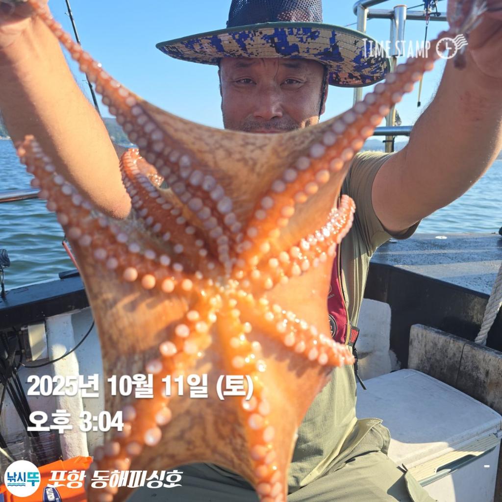 낚시뚜,돌문어,포항(운하관),포항 동해피싱호,낚시뚜13