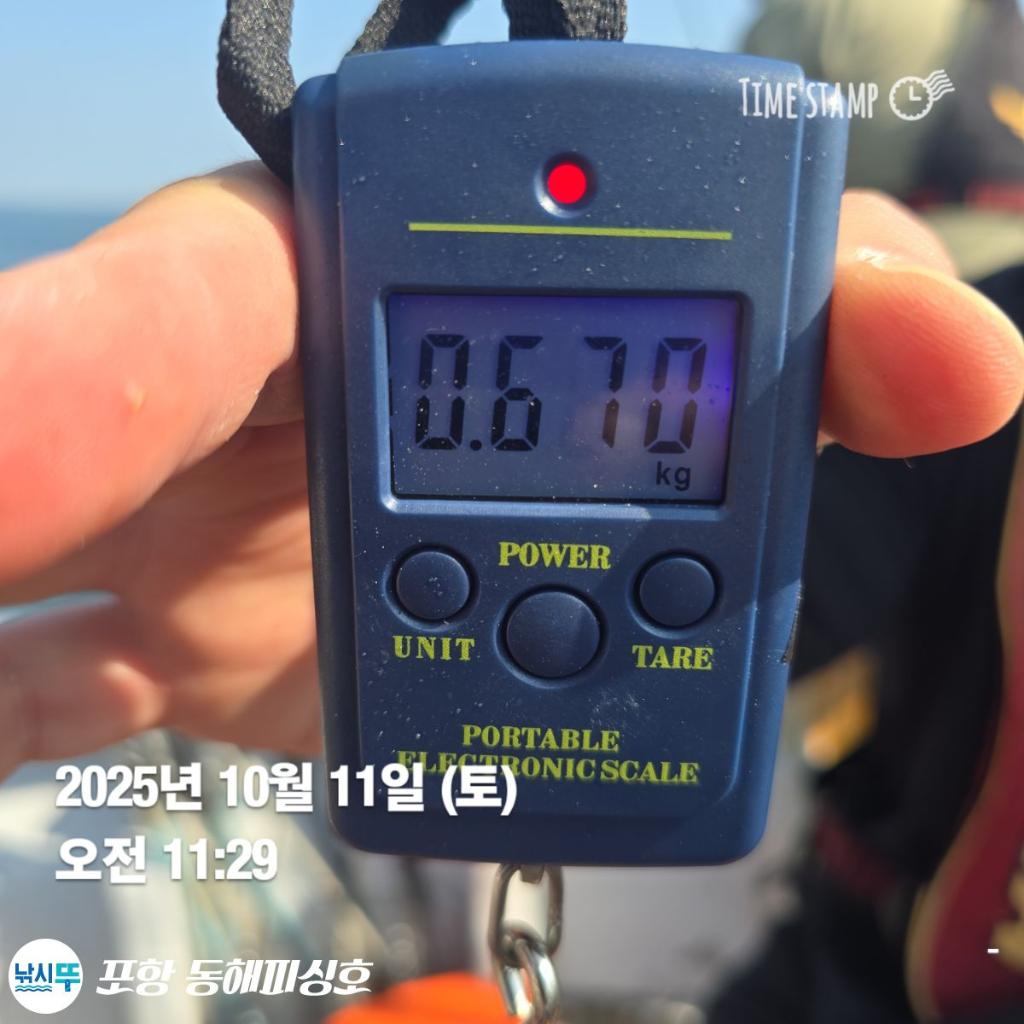 낚시뚜,돌문어,포항(운하관),포항 동해피싱호,낚시뚜10