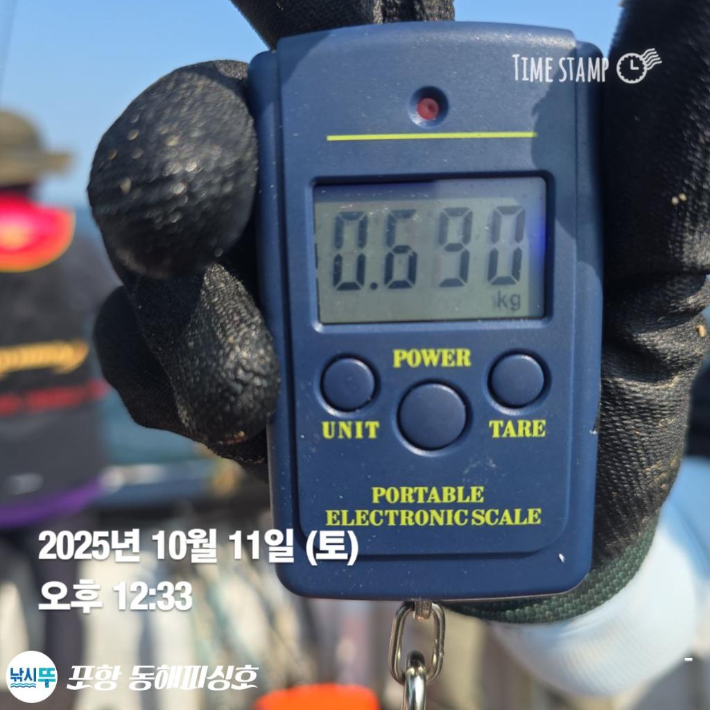 낚시뚜,돌문어,포항(운하관),포항 동해피싱호,낚시뚜8