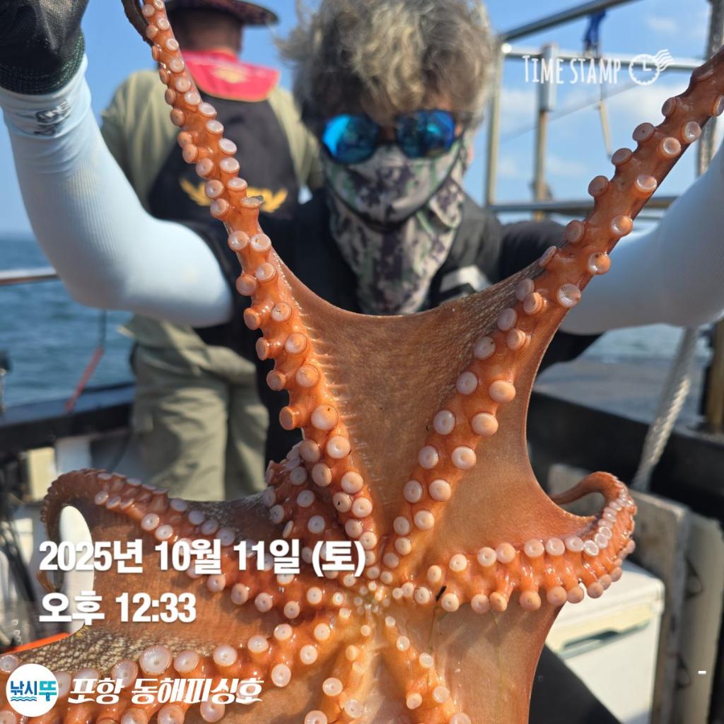 낚시뚜,돌문어,포항(운하관),포항 동해피싱호,낚시뚜7