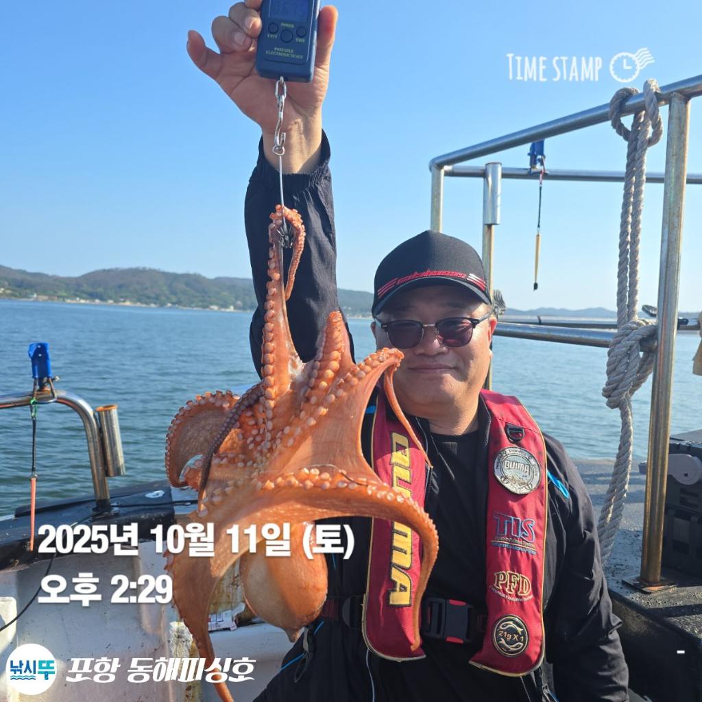 낚시뚜,돌문어,포항(운하관),포항 동해피싱호,낚시뚜6