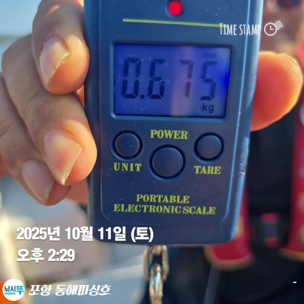 낚시뚜,돌문어,포항(운하관),포항 동해피싱호,낚시뚜5