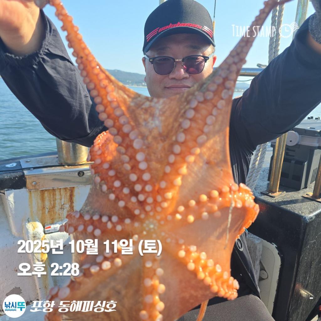 낚시뚜,돌문어,포항(운하관),포항 동해피싱호,낚시뚜4