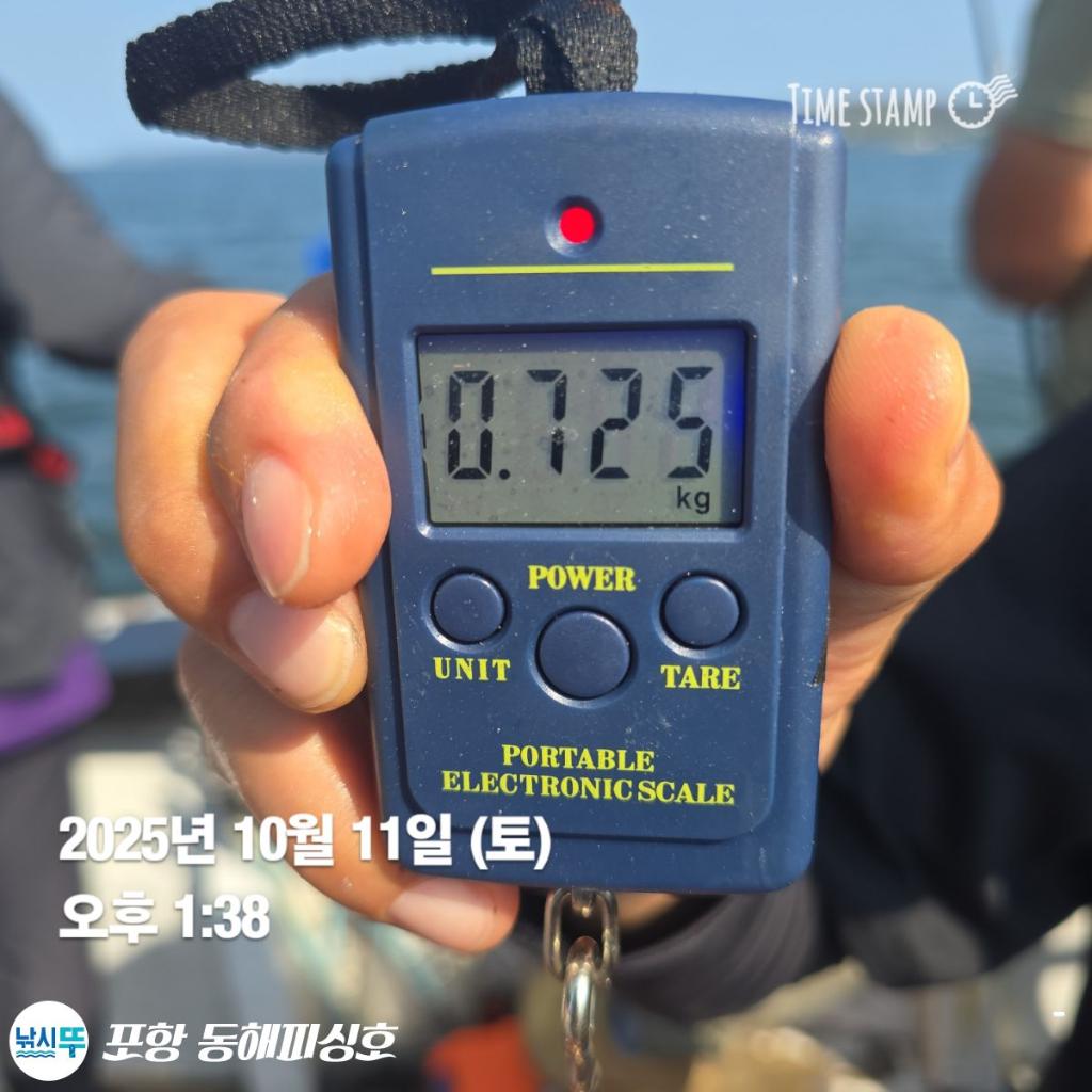 낚시뚜,돌문어,포항(운하관),포항 동해피싱호,낚시뚜2