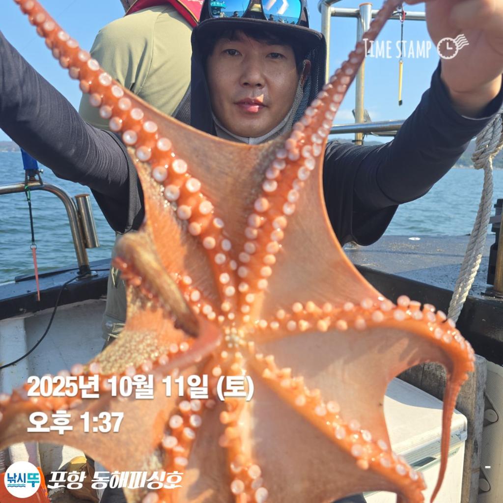 낚시뚜,돌문어,포항(운하관),포항 동해피싱호,낚시뚜1