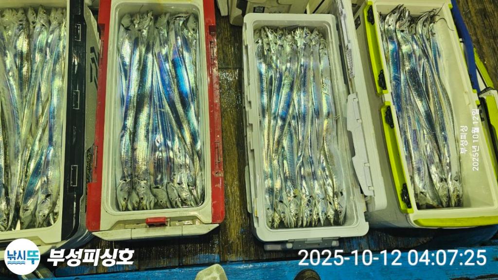 F2795067R3.jpg