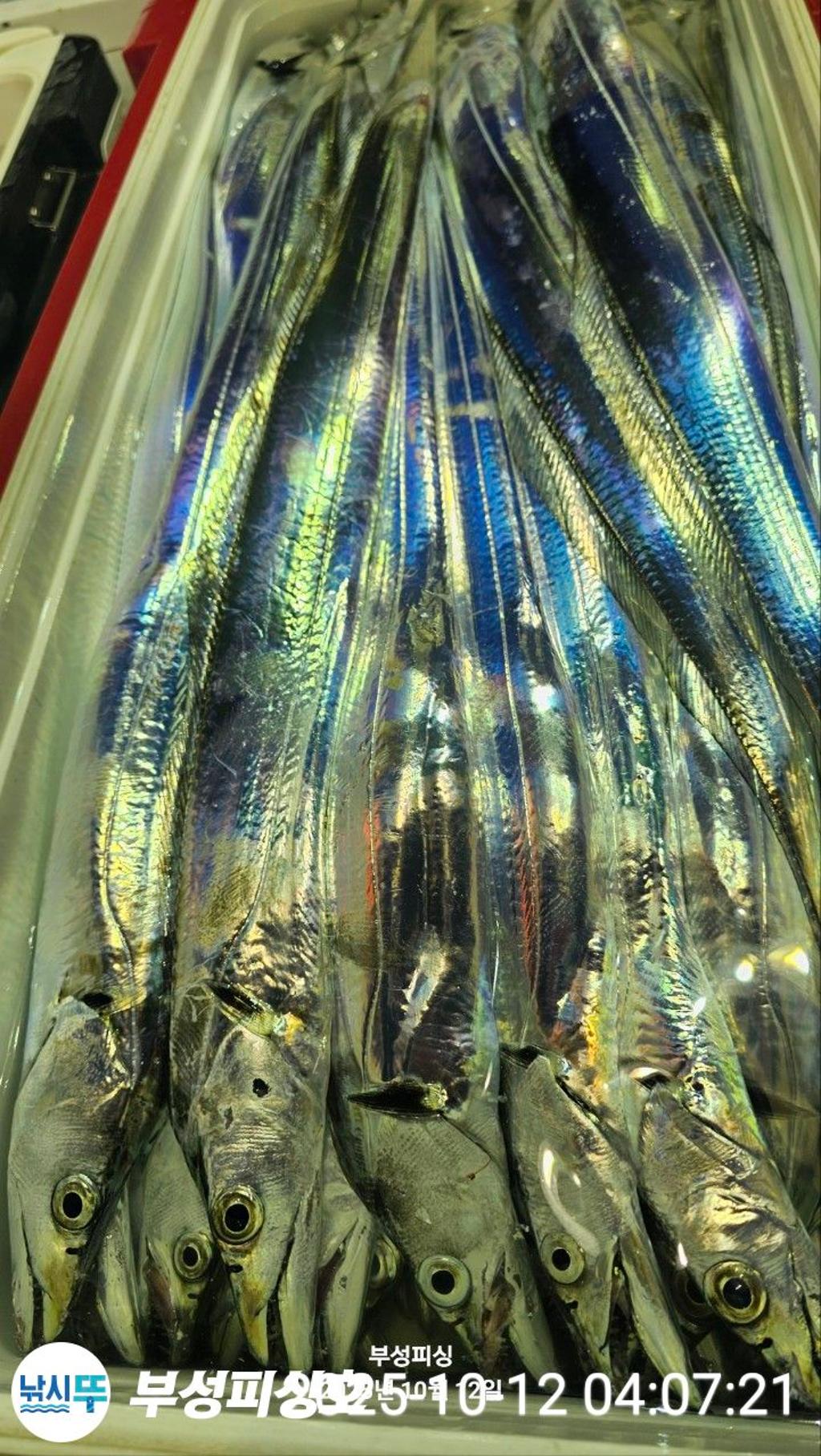 F2795070GX.jpg