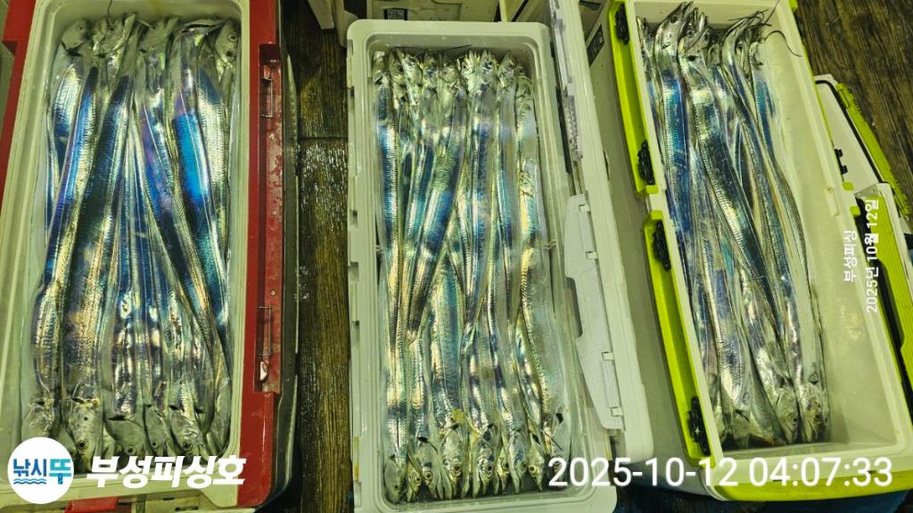 F2795072MC.jpg