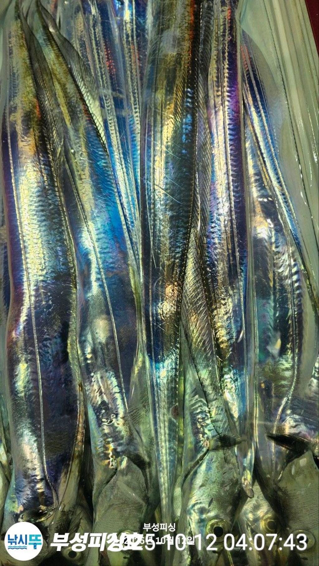 F2795075WL.jpg