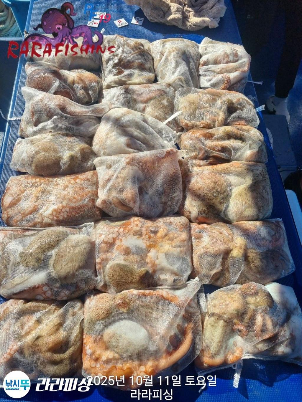낚시뚜,돌문어,속천항(진해),라라피싱,낚시뚜20