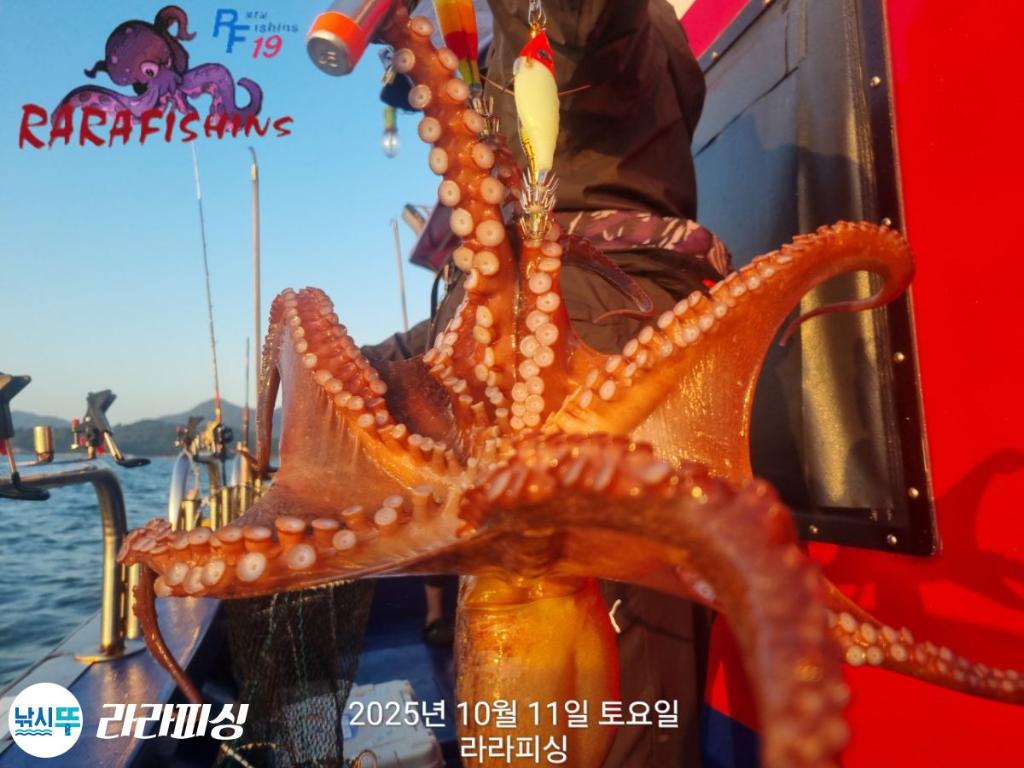 낚시뚜,돌문어,속천항(진해),라라피싱,낚시뚜18