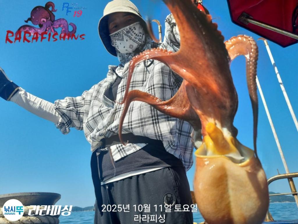 낚시뚜,돌문어,속천항(진해),라라피싱,낚시뚜11