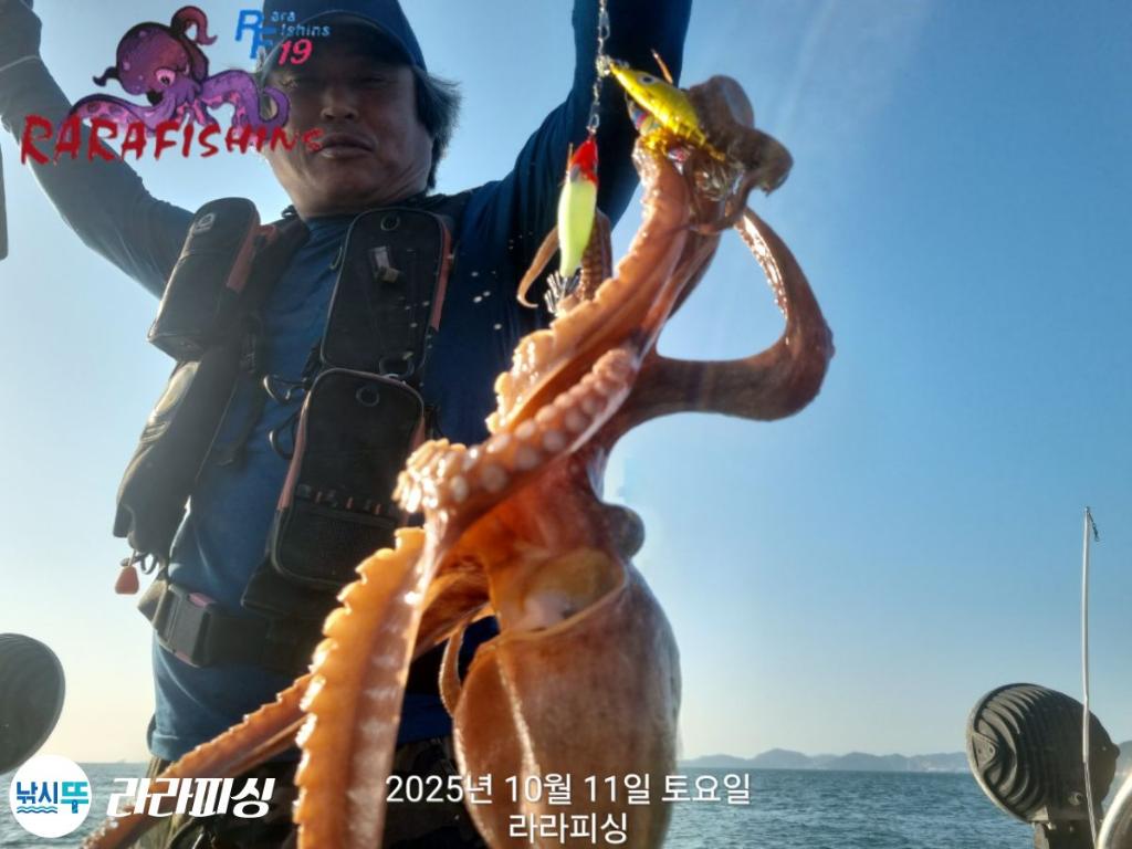 낚시뚜,돌문어,속천항(진해),라라피싱,낚시뚜10