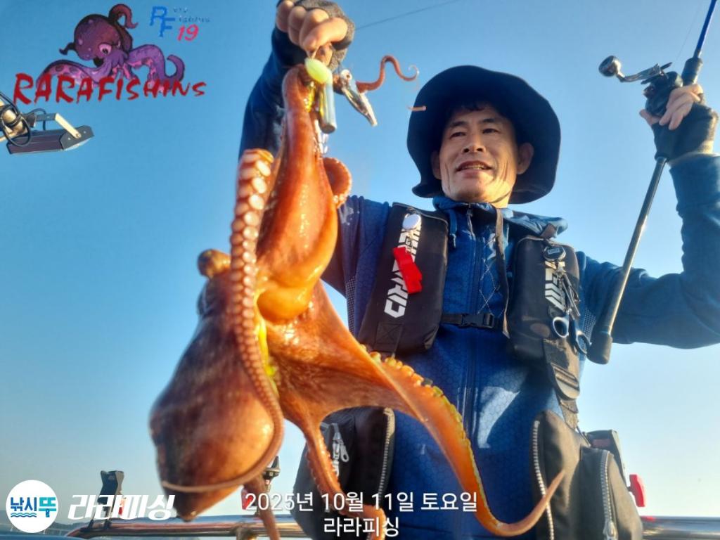 낚시뚜,돌문어,속천항(진해),라라피싱,낚시뚜6