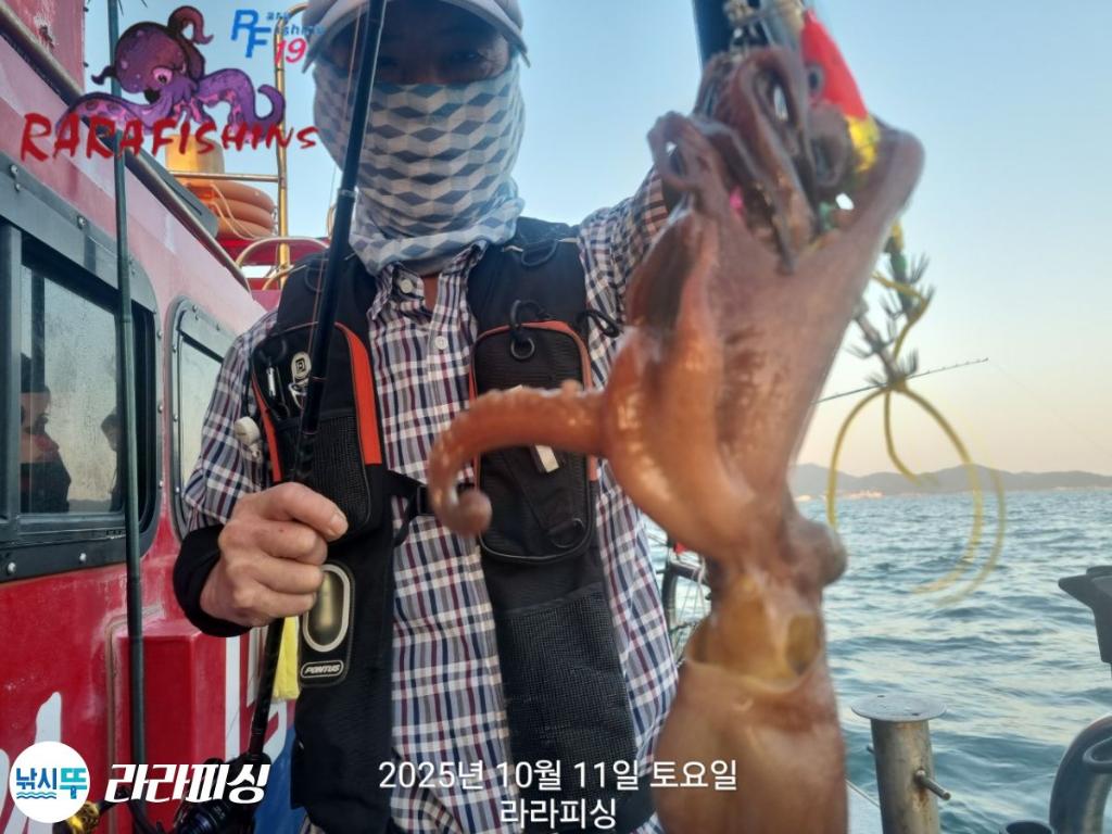낚시뚜,돌문어,속천항(진해),라라피싱,낚시뚜3