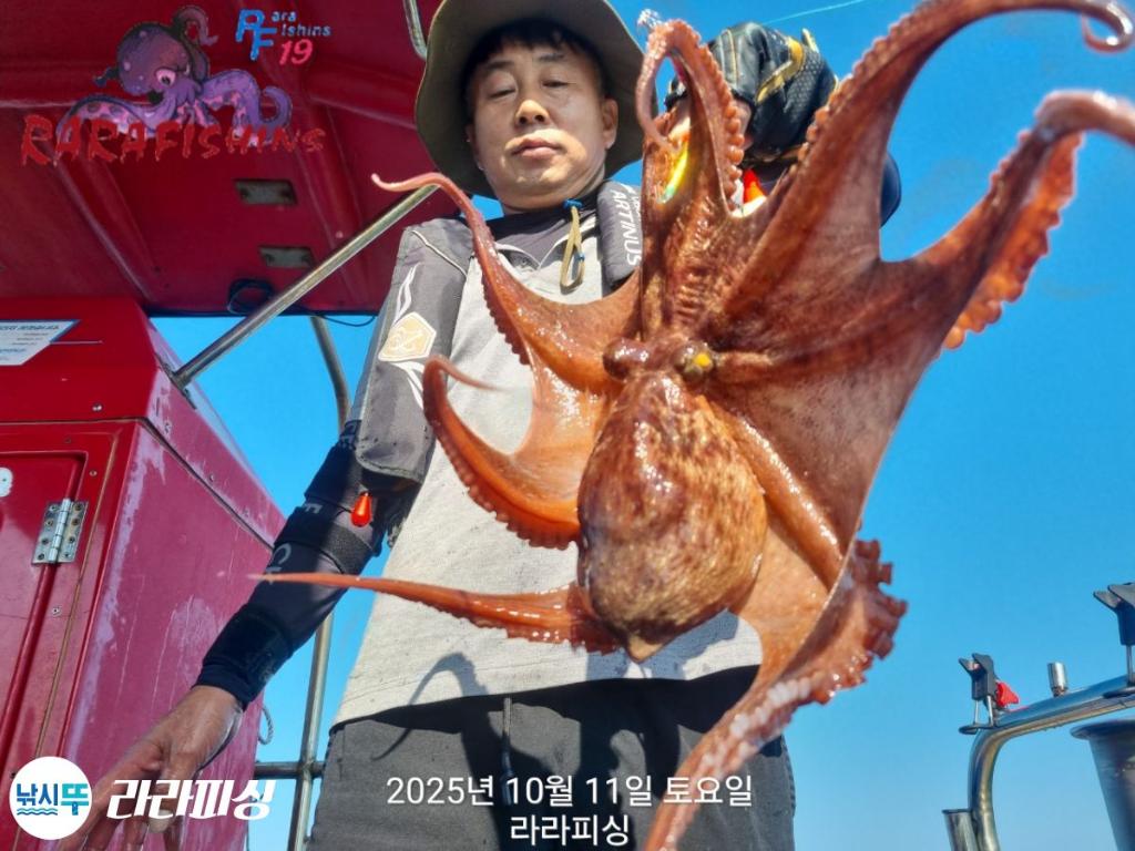 낚시뚜,돌문어,속천항(진해),라라피싱,낚시뚜0