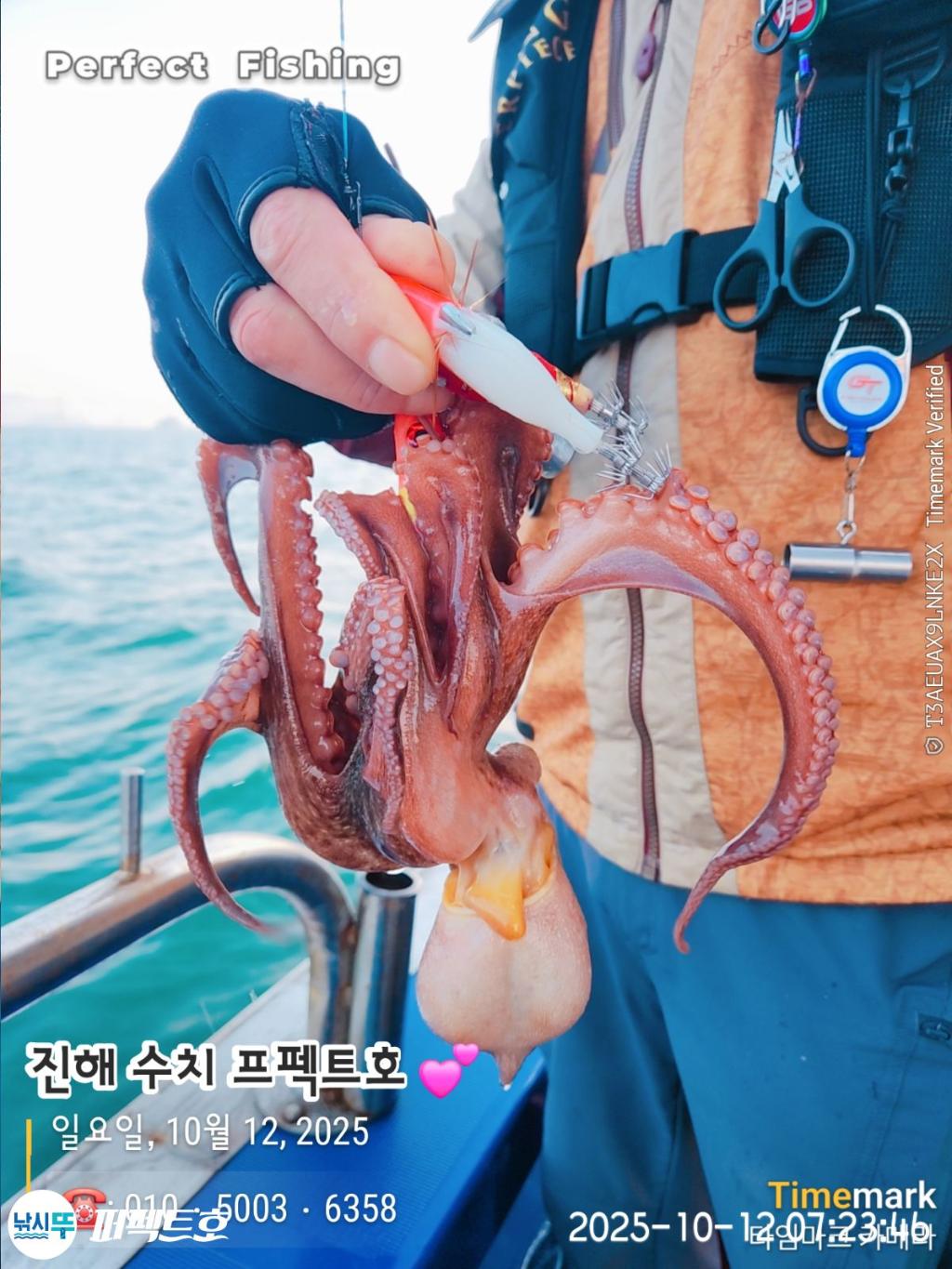 낚시뚜,돌문어,진해 수치마을 방파제,퍼펙트호,낚시뚜23