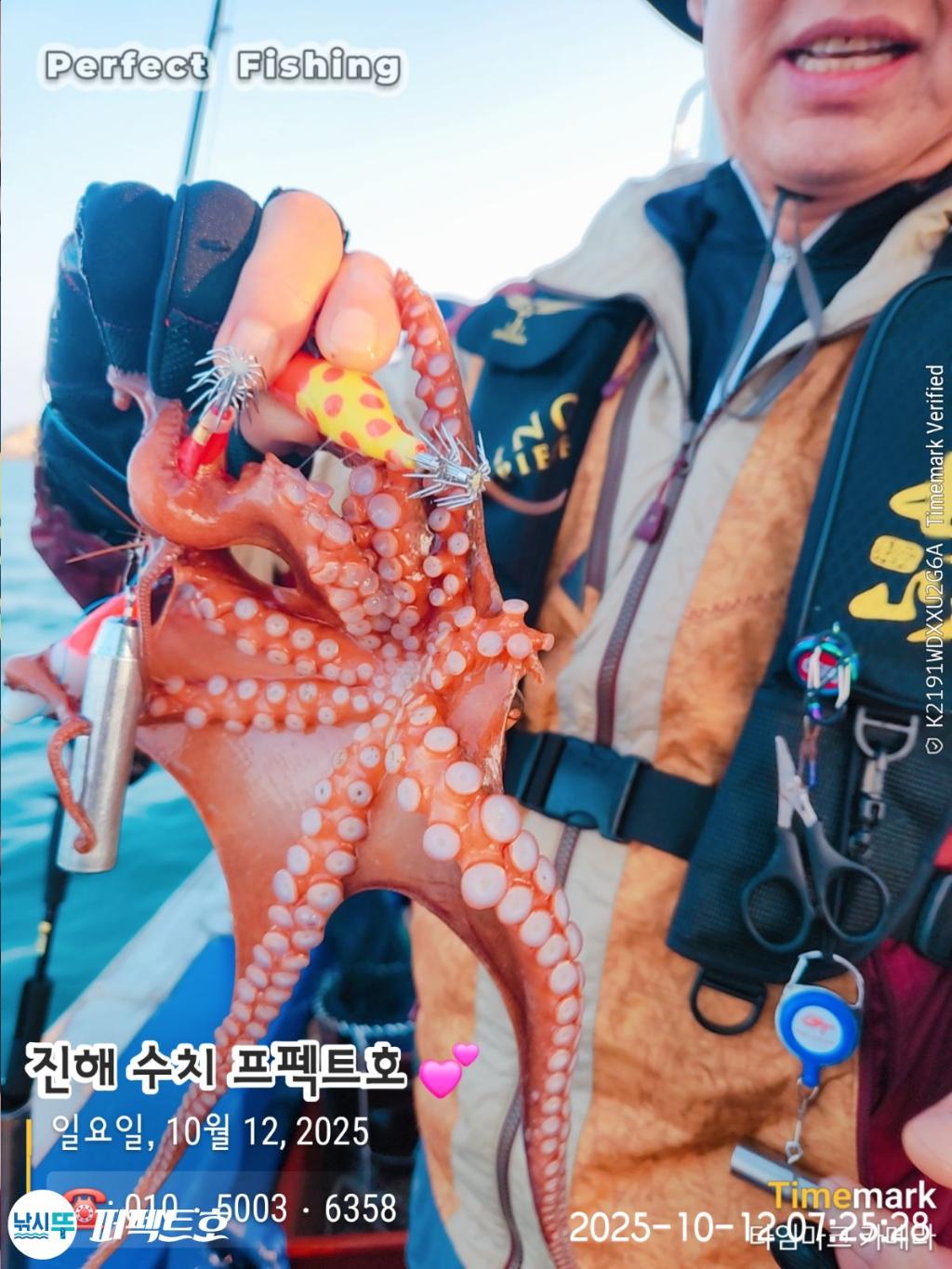 낚시뚜,돌문어,진해 수치마을 방파제,퍼펙트호,낚시뚜22