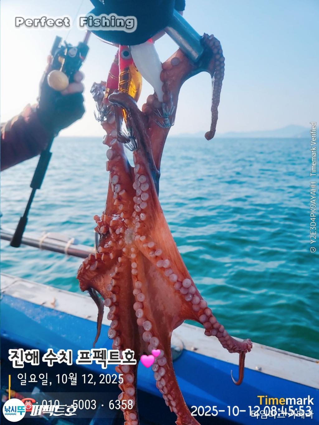 낚시뚜,돌문어,진해 수치마을 방파제,퍼펙트호,낚시뚜16