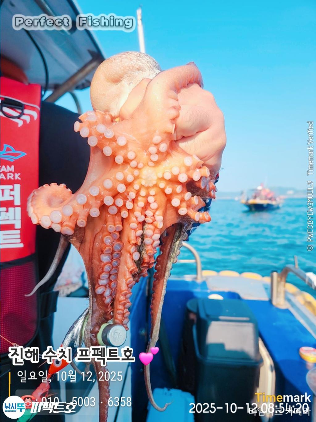 낚시뚜,돌문어,진해 수치마을 방파제,퍼펙트호,낚시뚜15