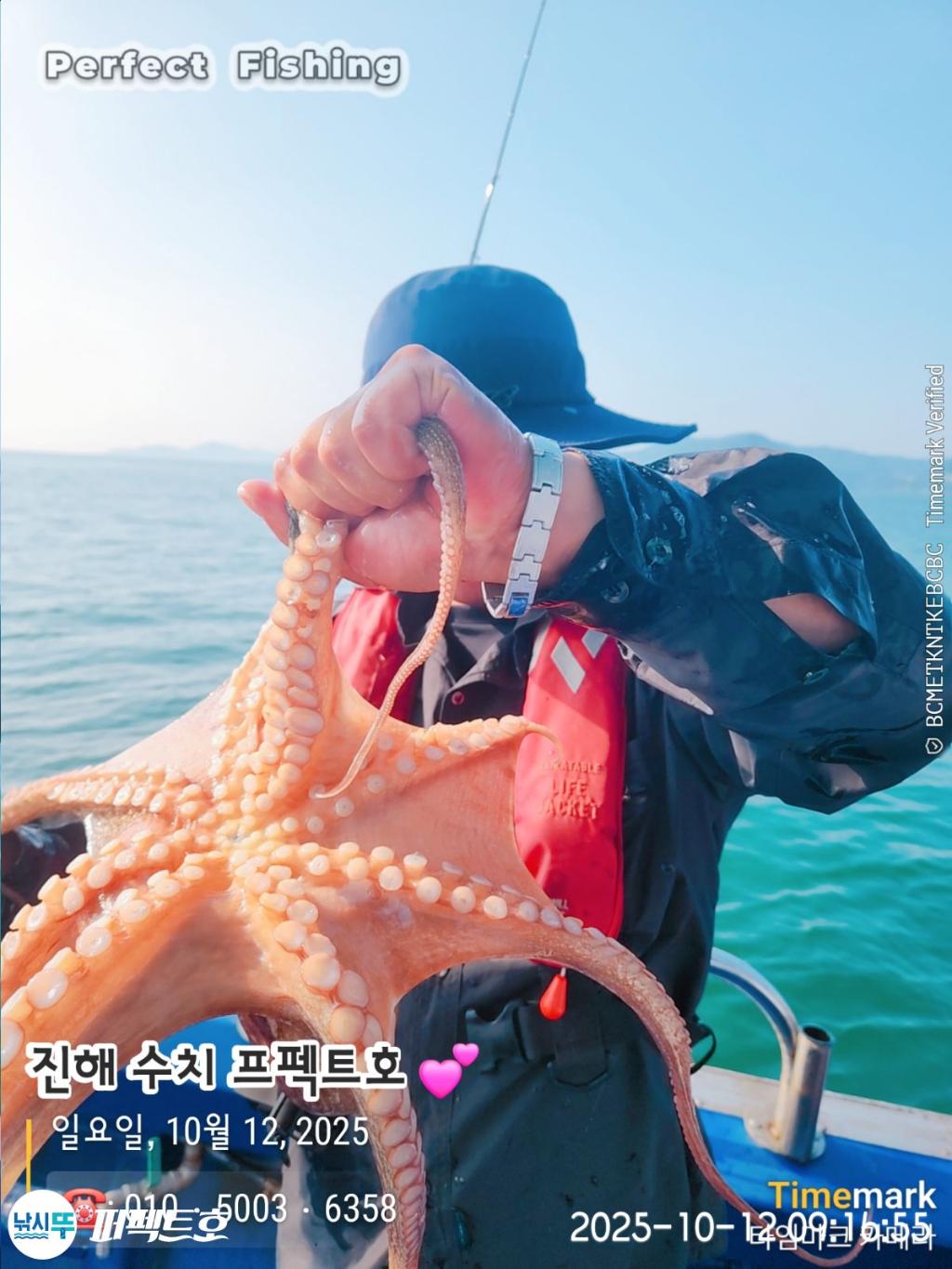 낚시뚜,돌문어,진해 수치마을 방파제,퍼펙트호,낚시뚜13