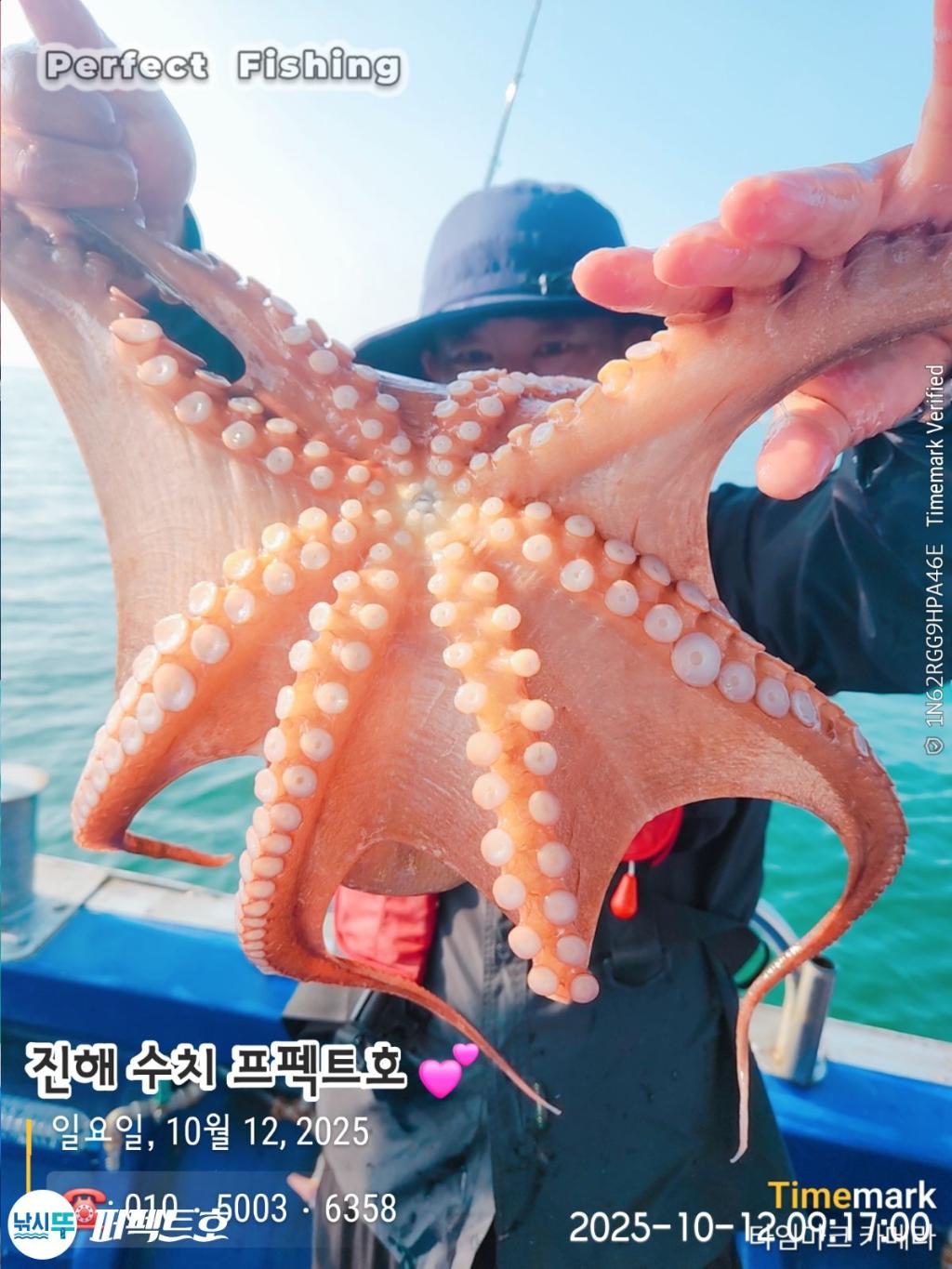 낚시뚜,돌문어,진해 수치마을 방파제,퍼펙트호,낚시뚜12