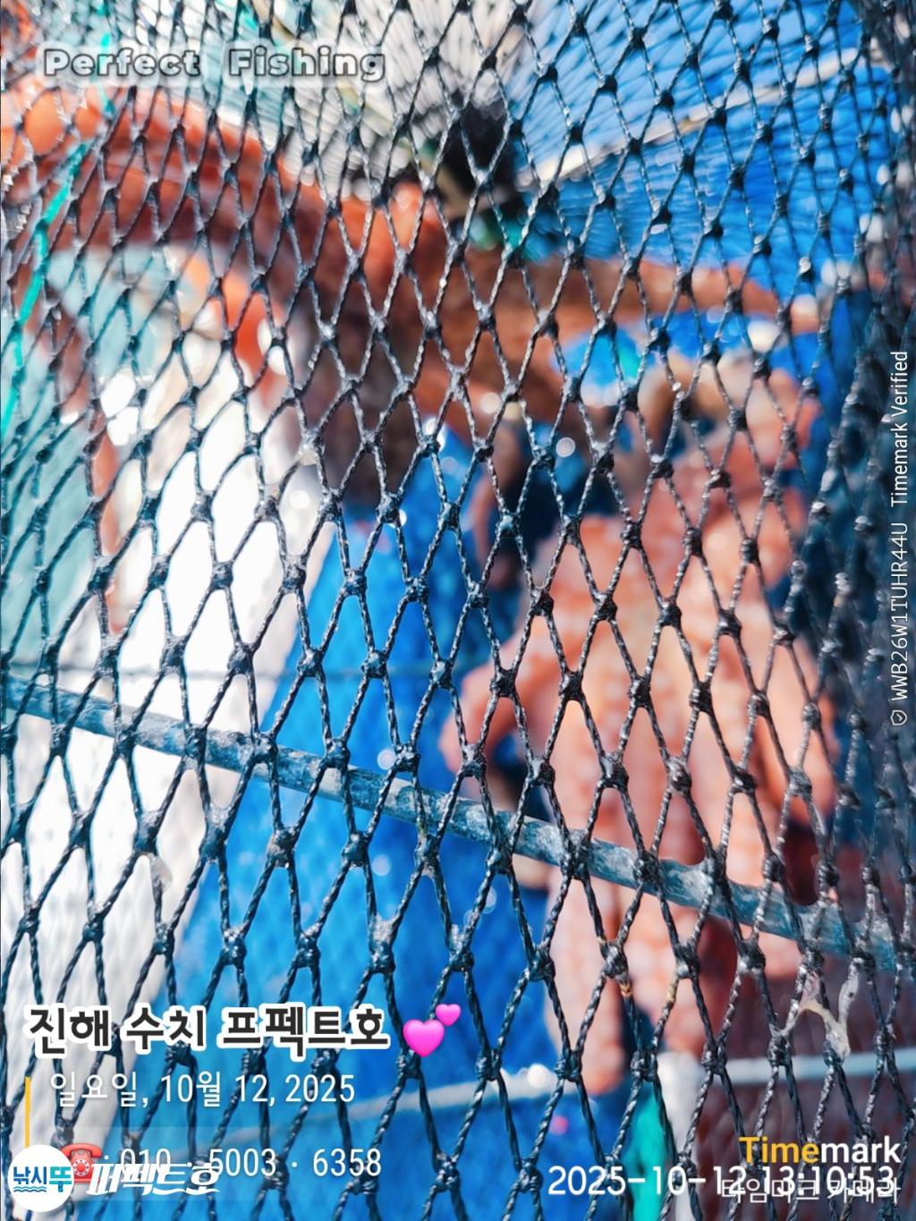 낚시뚜,돌문어,진해 수치마을 방파제,퍼펙트호,낚시뚜4