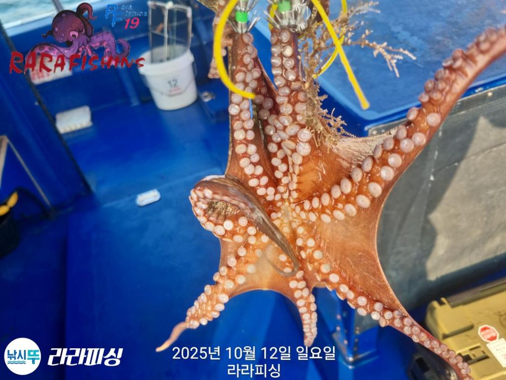 F2795698B1.jpg