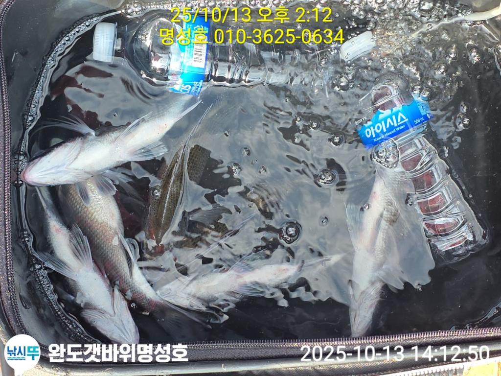 F2795829ZF.jpg