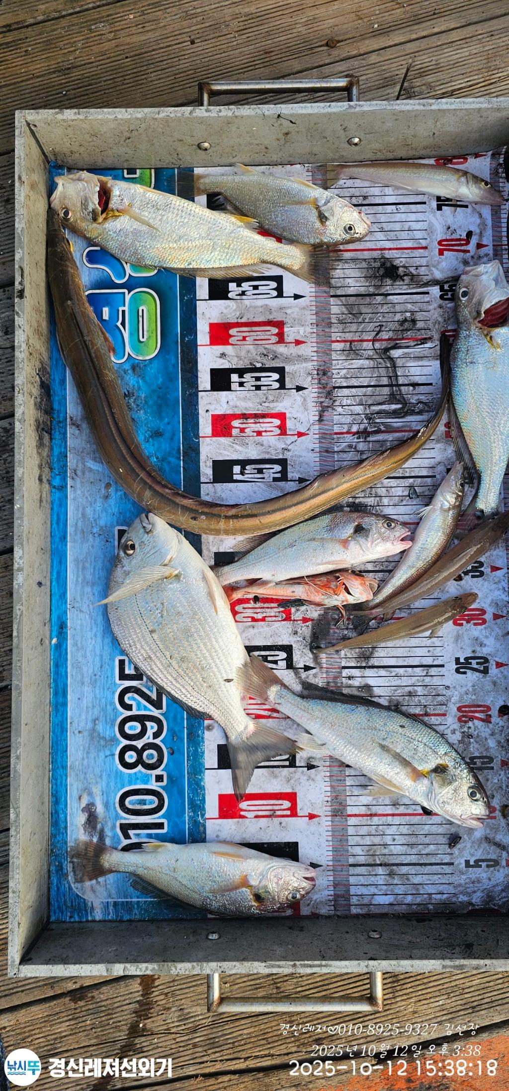 F2795833GF.jpg