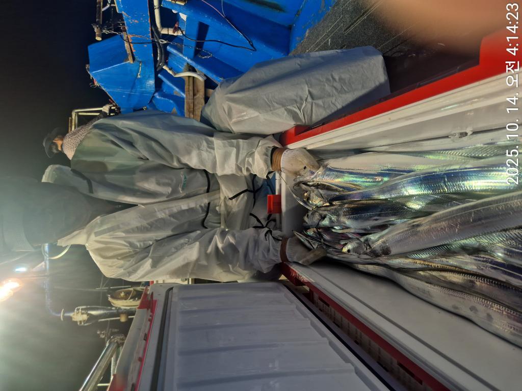 F279612589.jpg