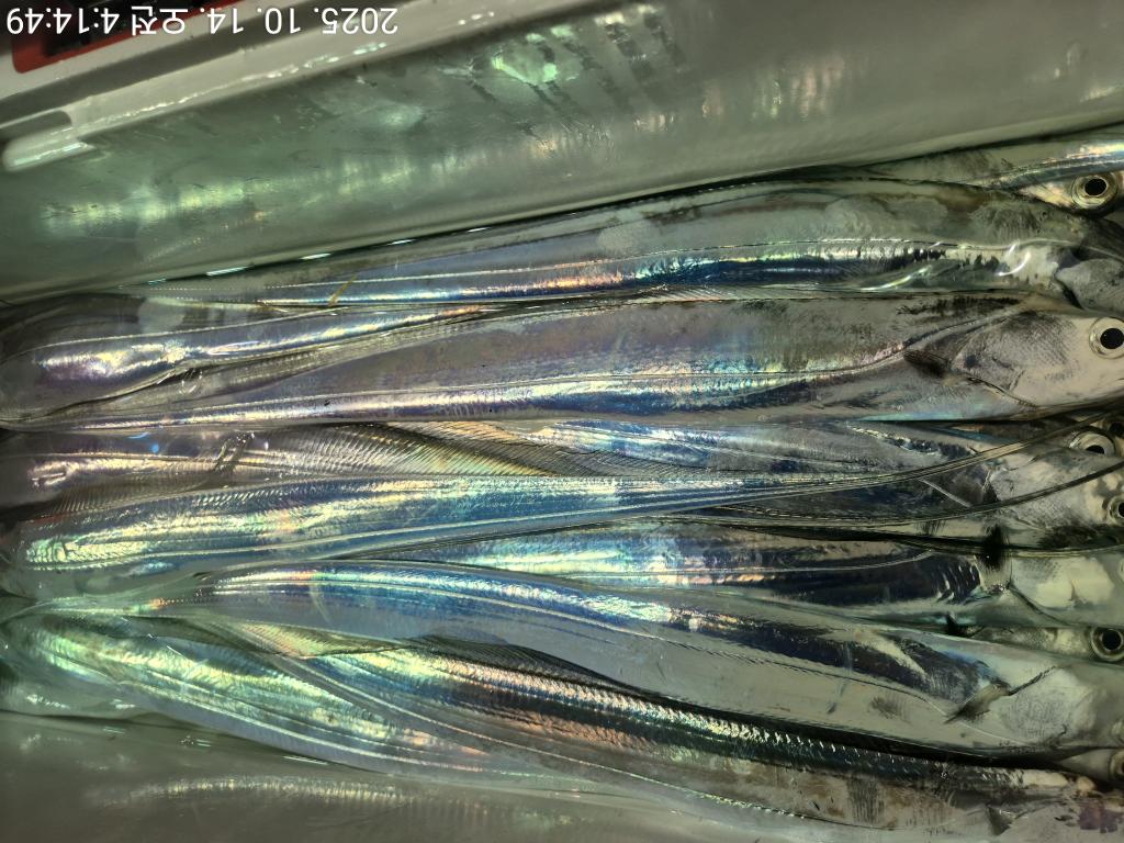 F2796126PI.jpg