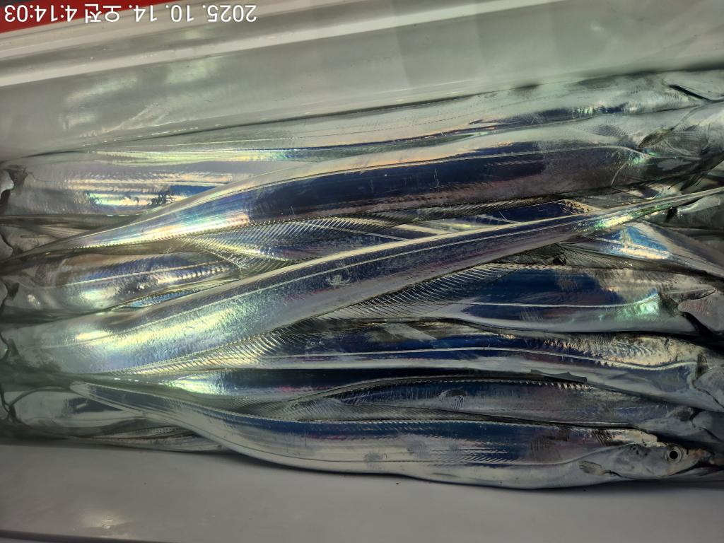 F2796130TA.jpg