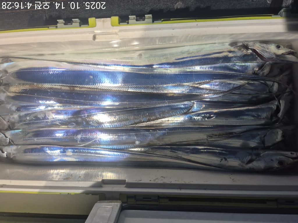 F2796135BV.jpg