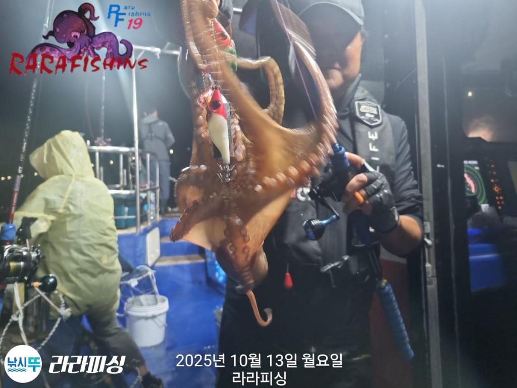 낚시뚜,돌문어,속천항(진해),라라피싱,낚시뚜5