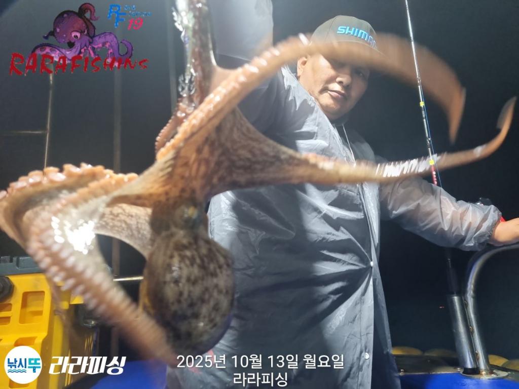 낚시뚜,돌문어,속천항(진해),라라피싱,낚시뚜2
