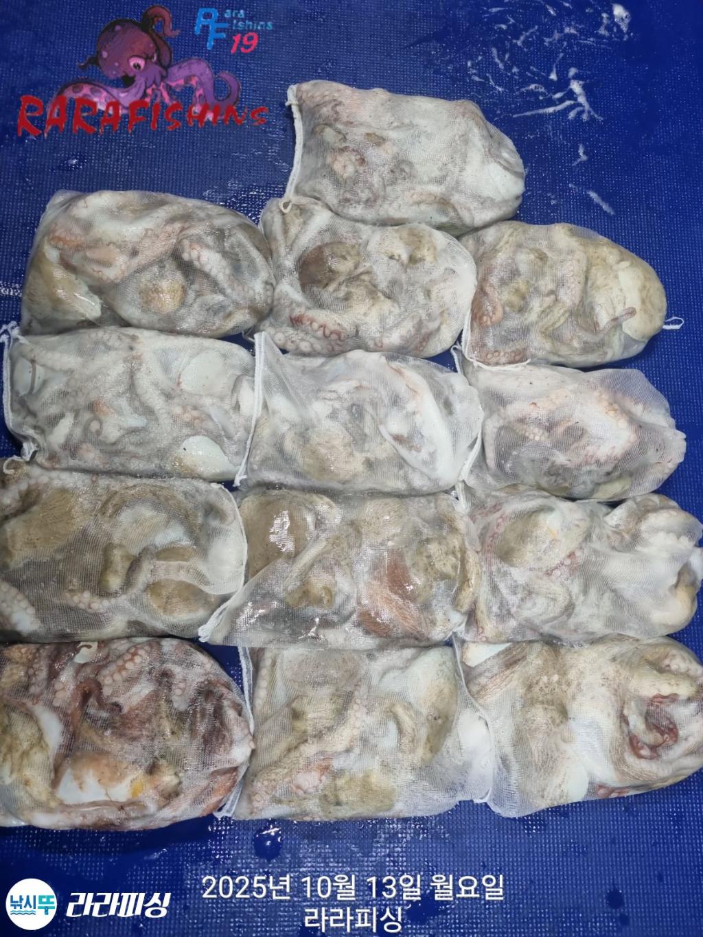 낚시뚜,돌문어,속천항(진해),라라피싱,낚시뚜0