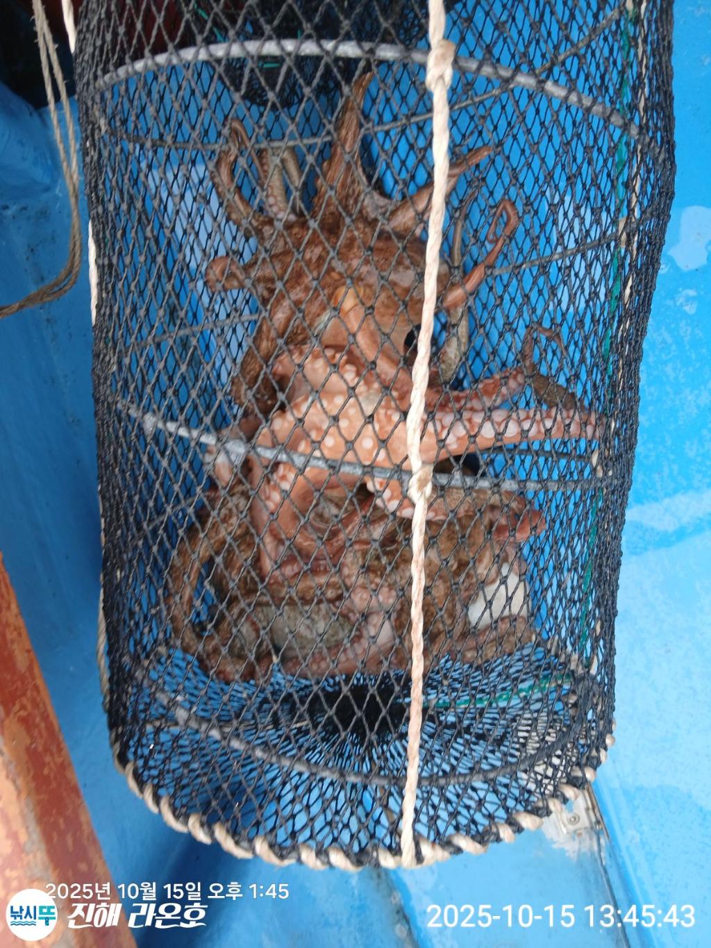 F2796322CG.jpg