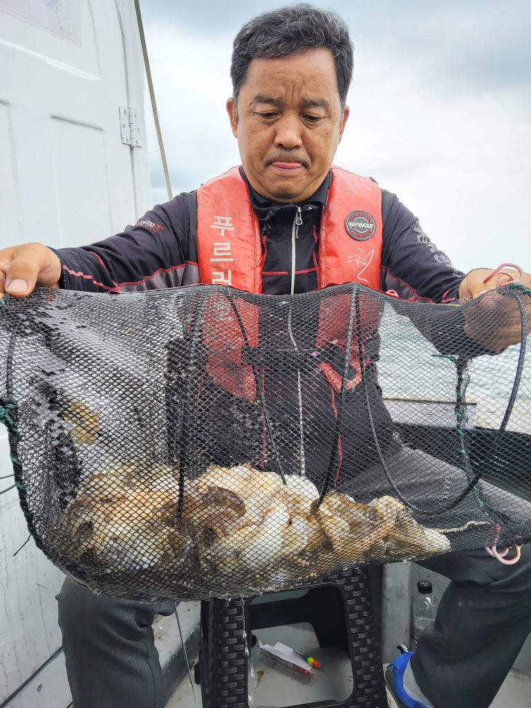 낚시뚜,쭈꾸미,오천항,푸르러호(뉴해양호),낚시뚜0